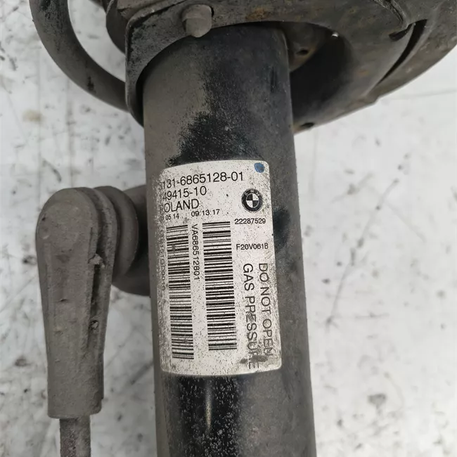 Ammortizzatore anteriore sinistro