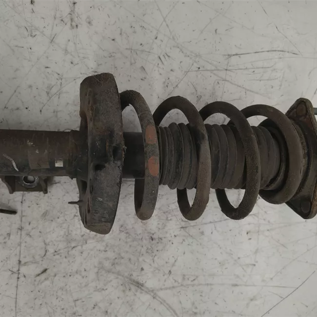 Ammortizzatore anteriore sinistro