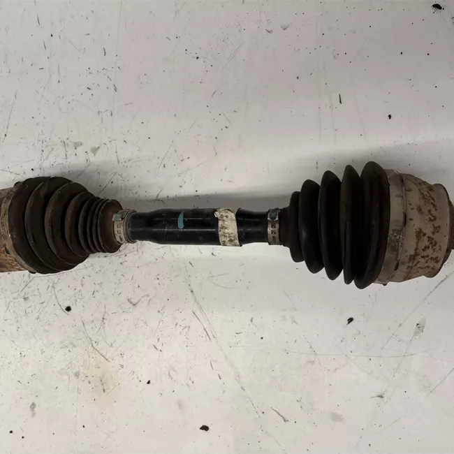 Semialbero anteriore completo sinistro