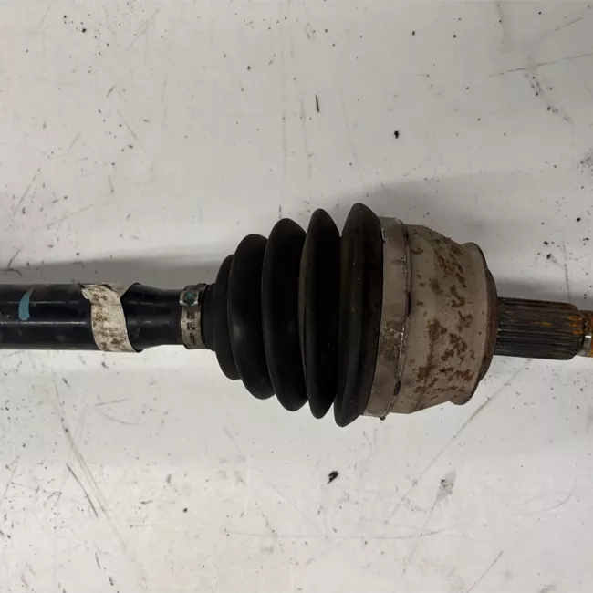 Semialbero anteriore completo sinistro