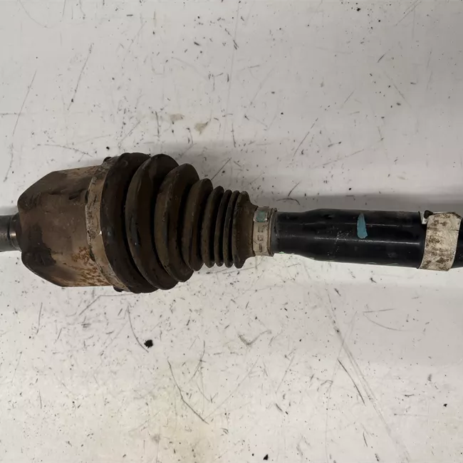 Semialbero anteriore completo sinistro