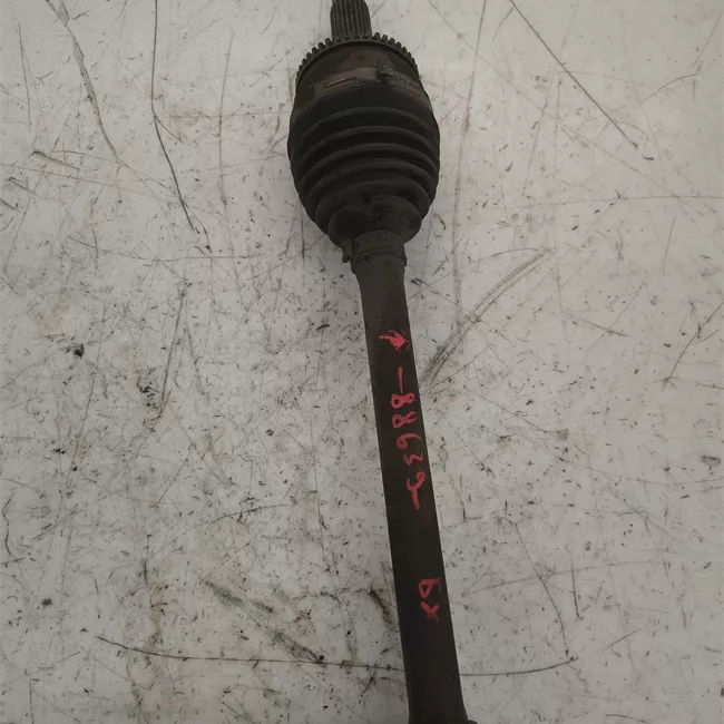 Semialbero anteriore completo sinistro