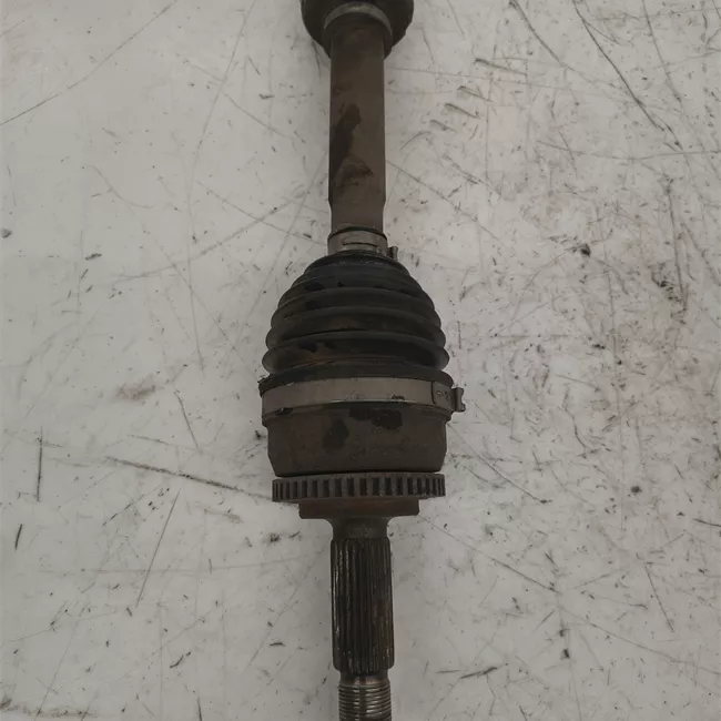 Semialbero anteriore completo destro