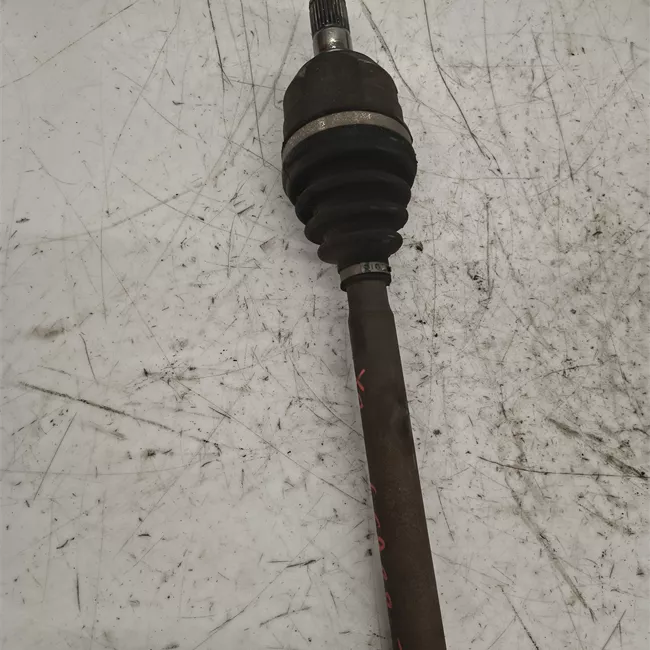 Semialbero anteriore completo destro