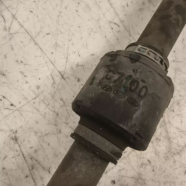 Semialbero anteriore completo destro