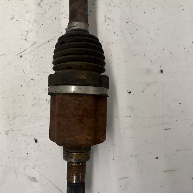 Semialbero anteriore completo sinistro