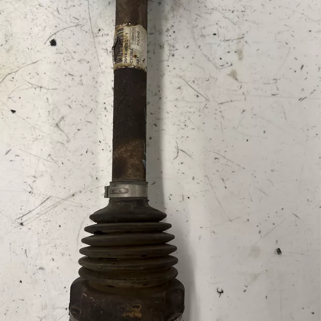 Semialbero anteriore completo sinistro