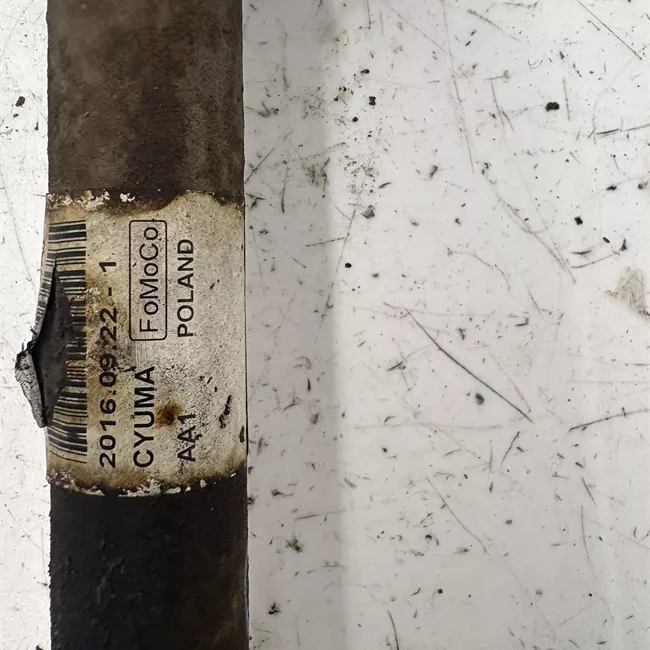 Semialbero anteriore completo sinistro