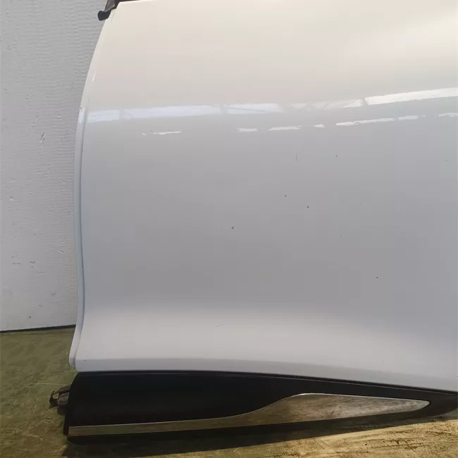 Porta posteriore sinistra