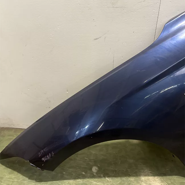 Parafango anteriore sinistro