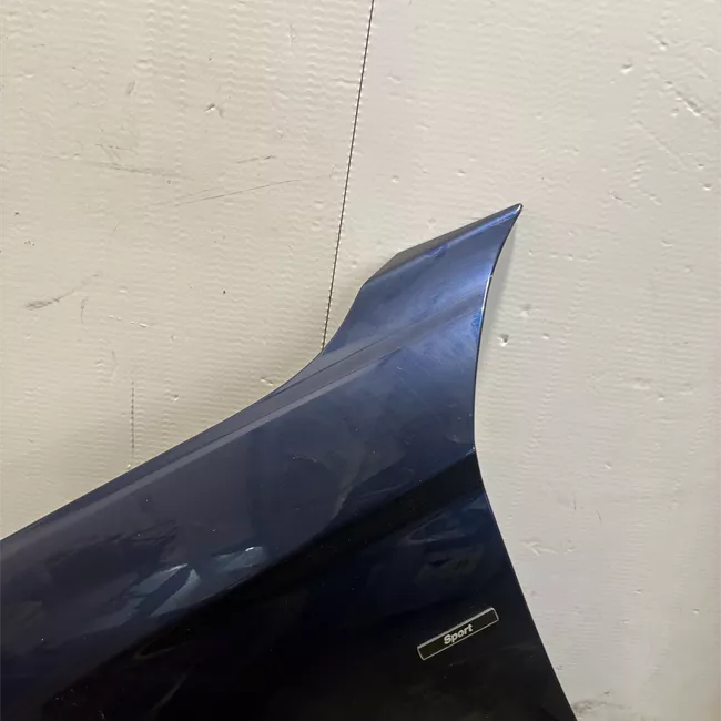 Parafango anteriore sinistro