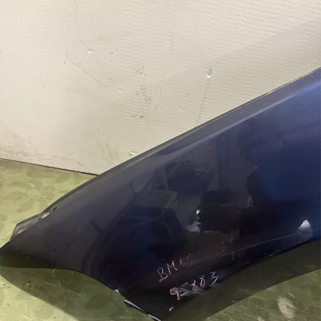 Parafango anteriore sinistro