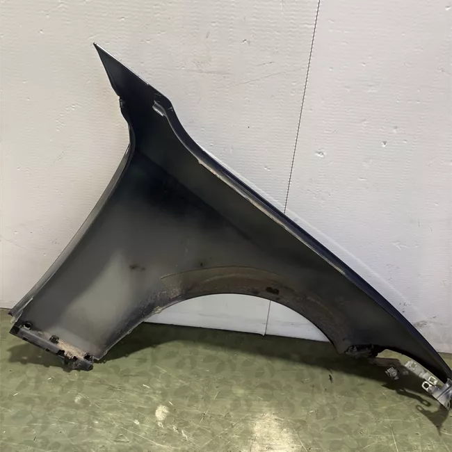 Parafango anteriore sinistro