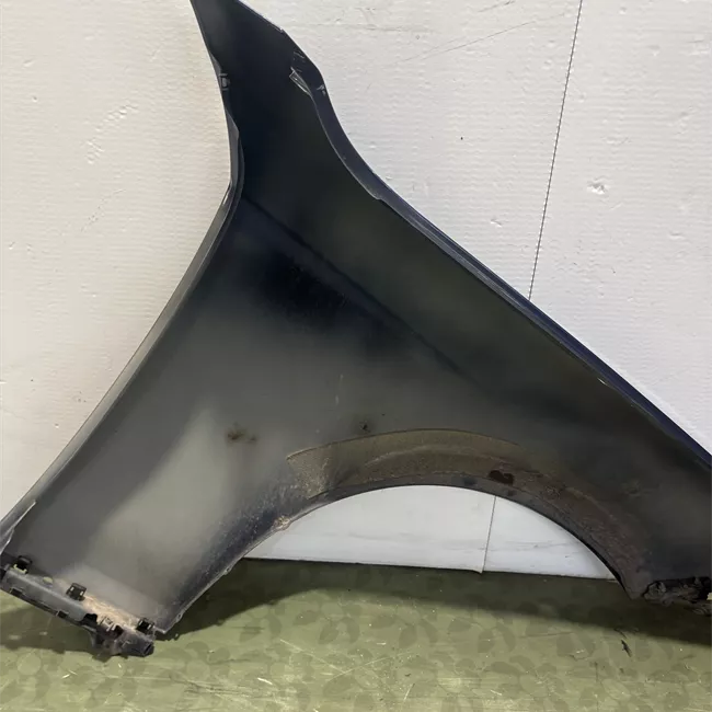 Parafango anteriore sinistro