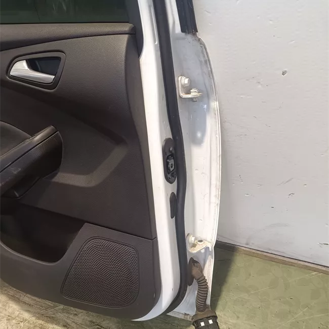 Porta posteriore sinistra