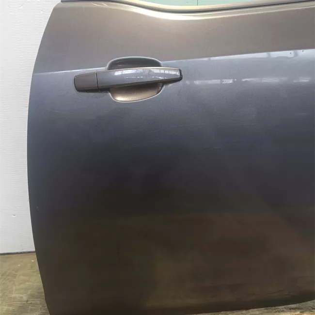 Porta posteriore sinistra