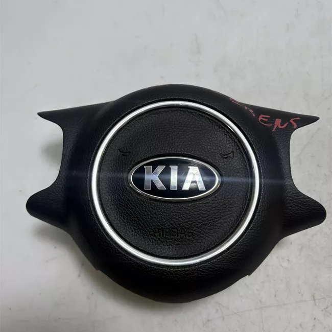 Dispositivo airbag lato guida