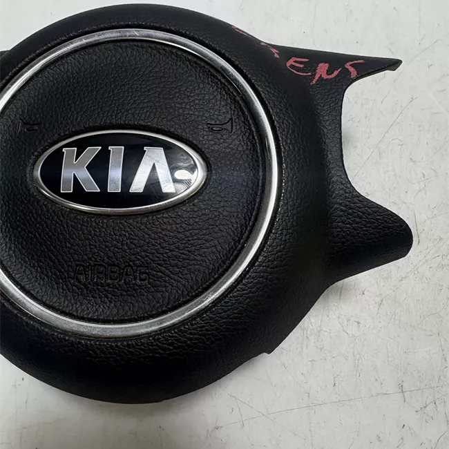 Dispositivo airbag lato guida