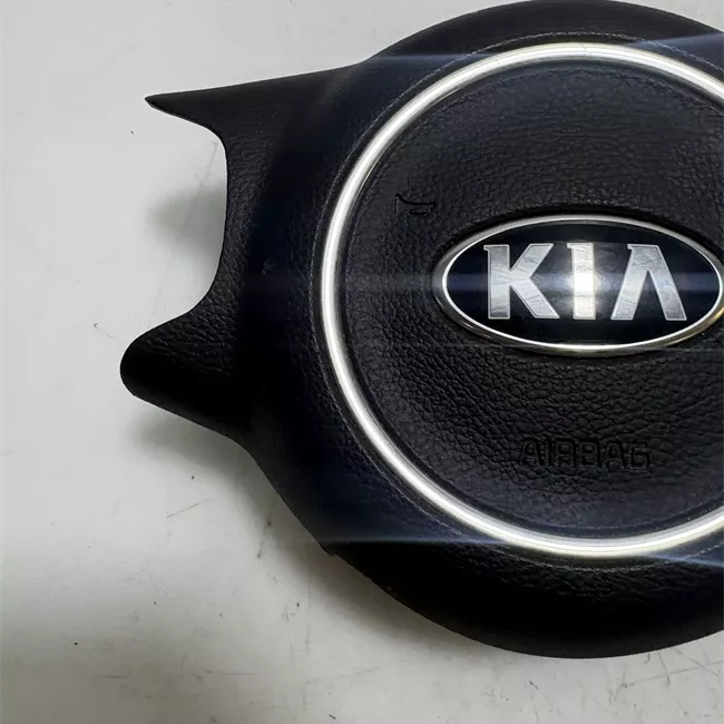 Dispositivo airbag lato guida