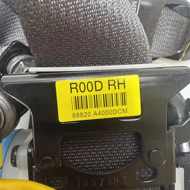 Cintura di sicurezza anteriore destra DCM