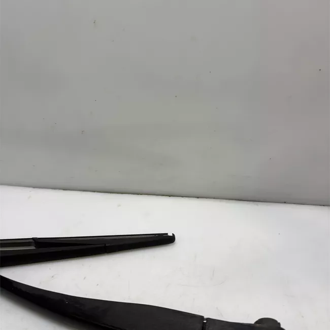 Braccio tergilunotto