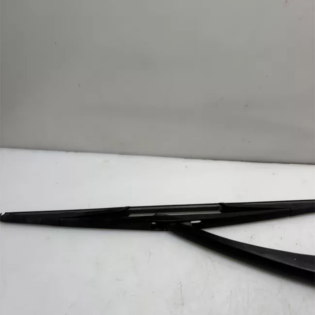 Braccio tergilunotto