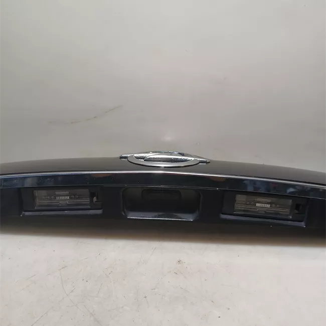 Maniglia portello posteriore