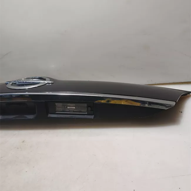 Maniglia portello posteriore