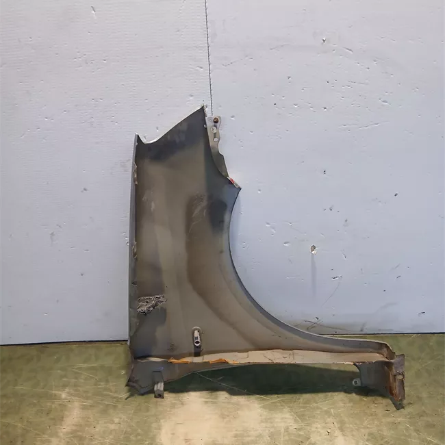 Parafango anteriore sinistro