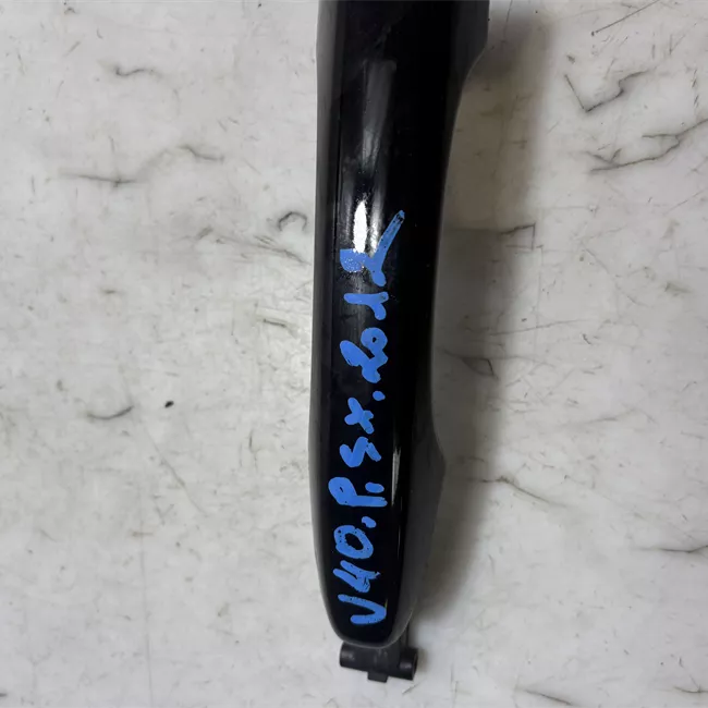 Maniglia porta posteriore sinistra primer