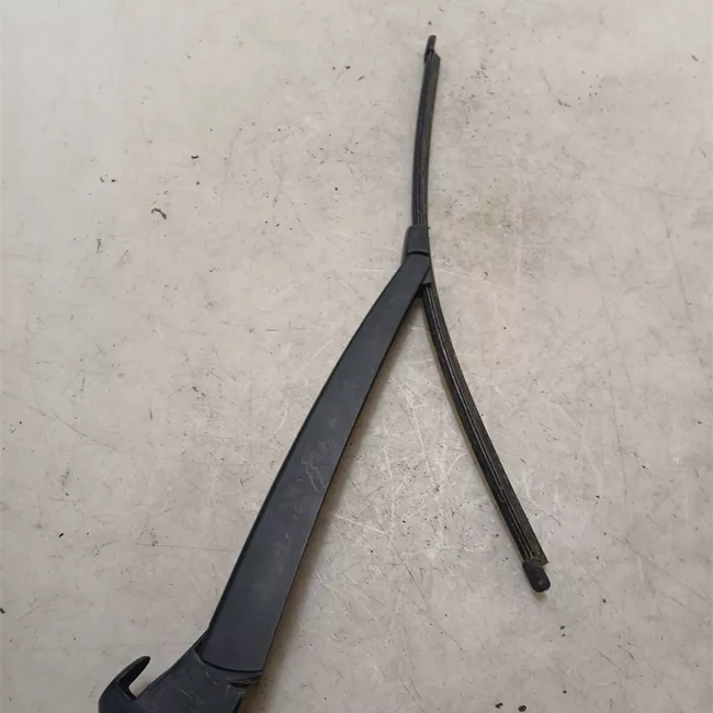 Braccio tergilunotto