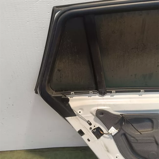 Porta posteriore sinistra