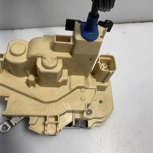 Serratura porta posteriore sinistra