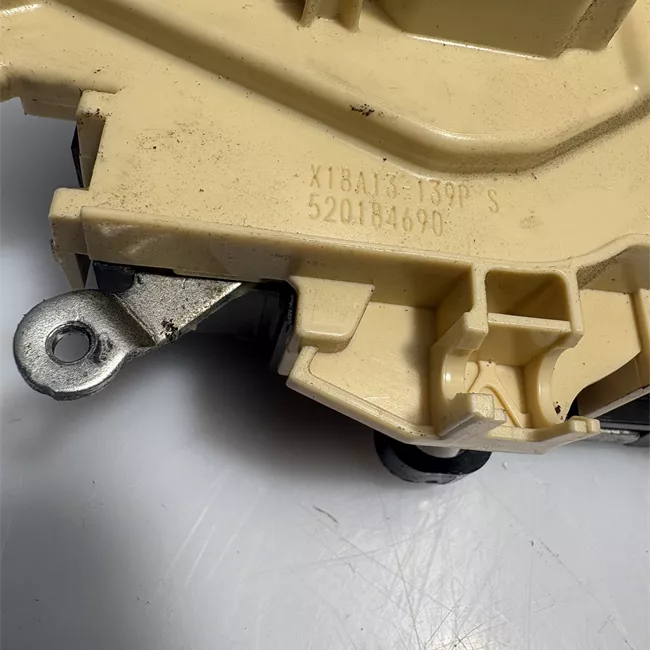 Serratura porta posteriore sinistra