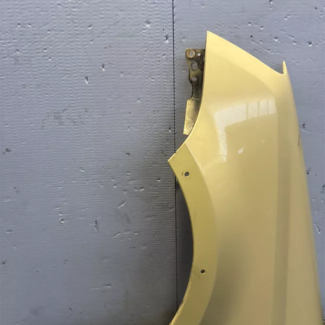 Parafango anteriore sinistro