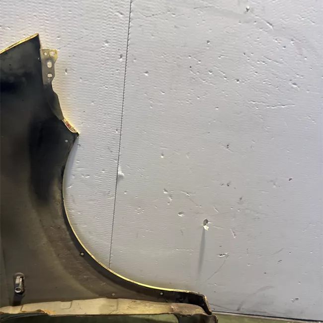 Parafango anteriore sinistro