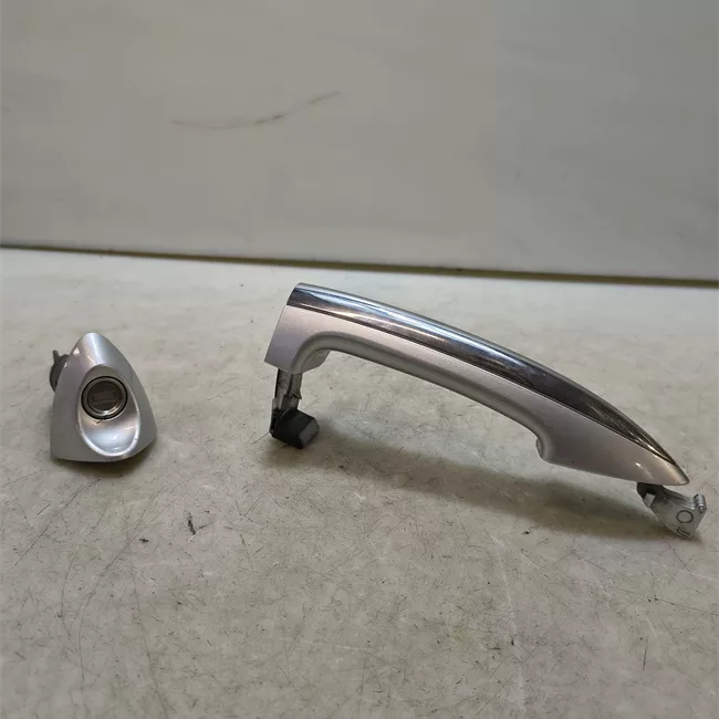 Maniglia porta anteriore sinistra primer