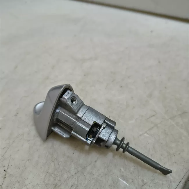 Maniglia porta anteriore sinistra primer