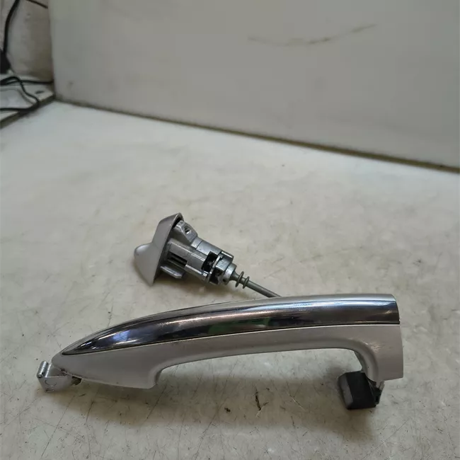 Maniglia porta anteriore sinistra primer