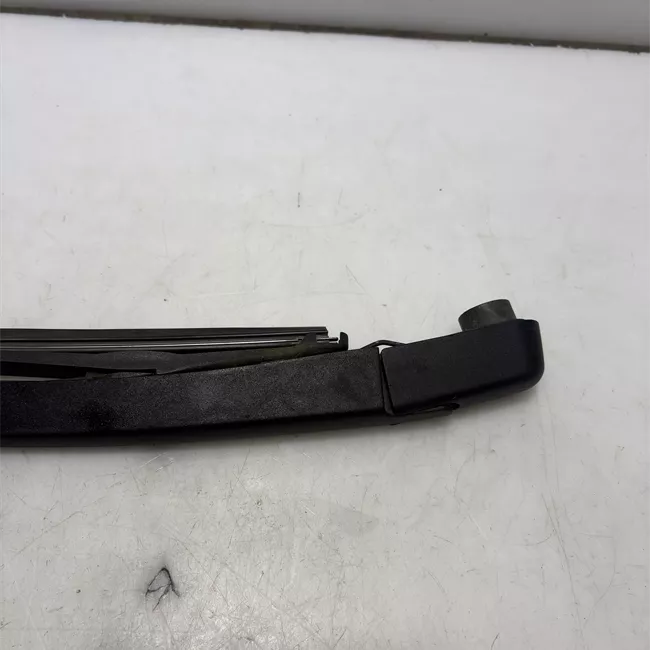 Braccio con spazzola tergilunotto