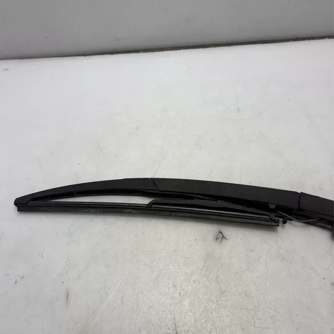 Braccio con spazzola tergilunotto