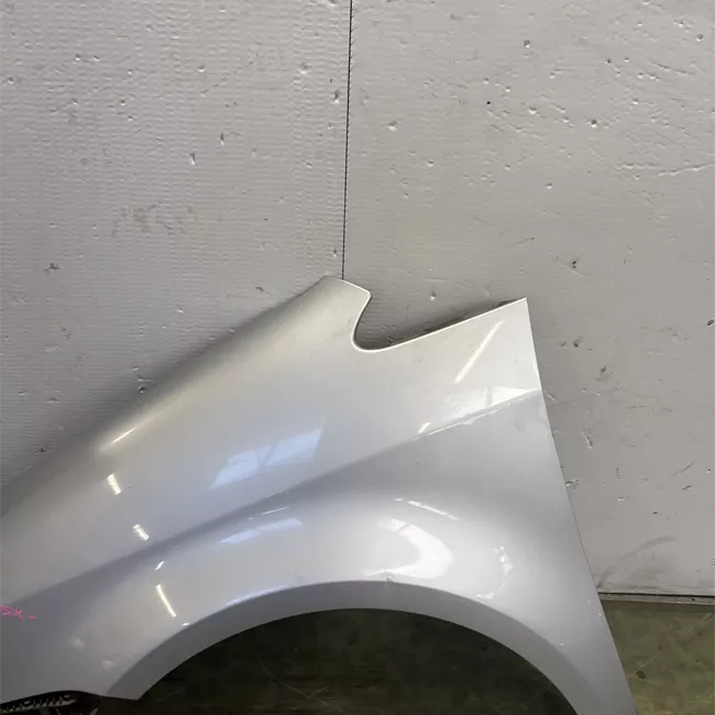 Parafango anteriore sinistro