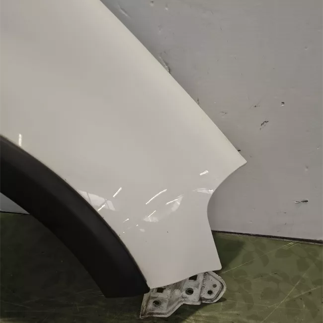 Parafango anteriore destro