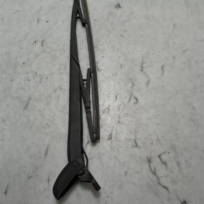 Braccio con spazzola tergilunotto portello