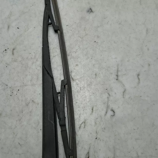 Braccio con spazzola tergilunotto portello