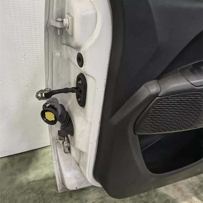 Porta anteriore destra