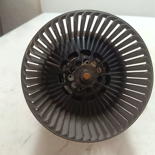 Motorino ventilazione abitacolo