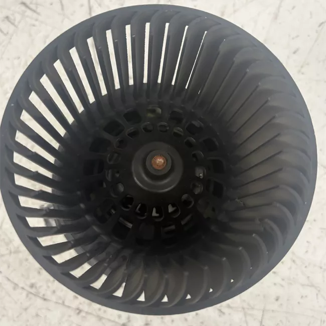 Motorino ventilazione abitacolo