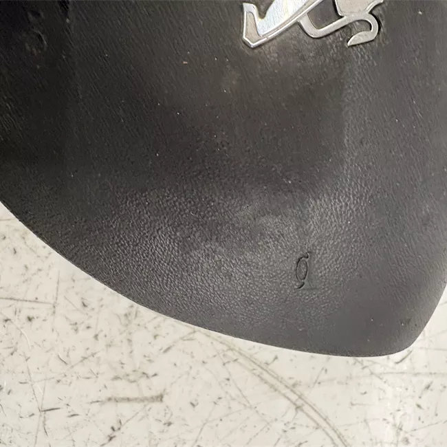 Dispositivo airbag lato guida