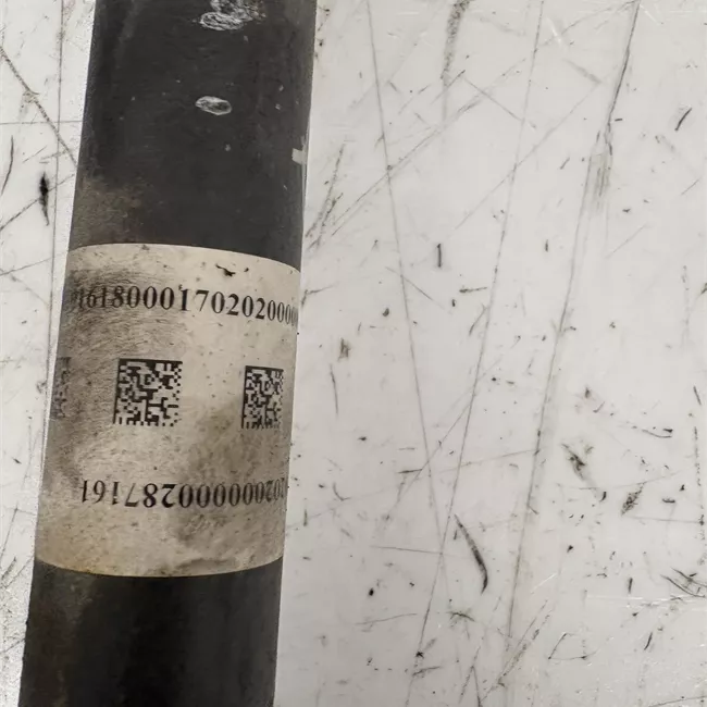 Semialbero anteriore completo sinistro